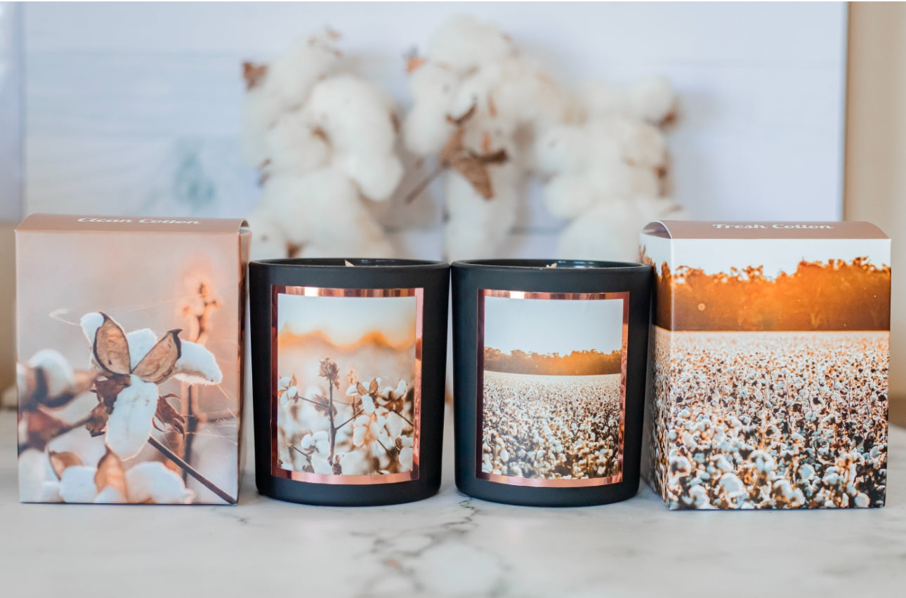 Cotton Collection Bundle