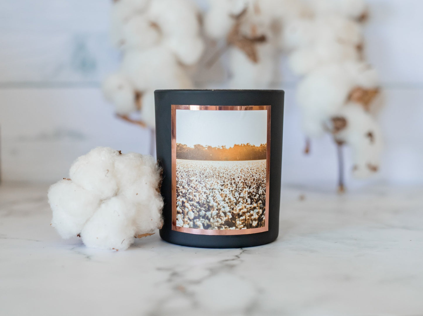 Fresh Cotton - Sara Leigh Au
